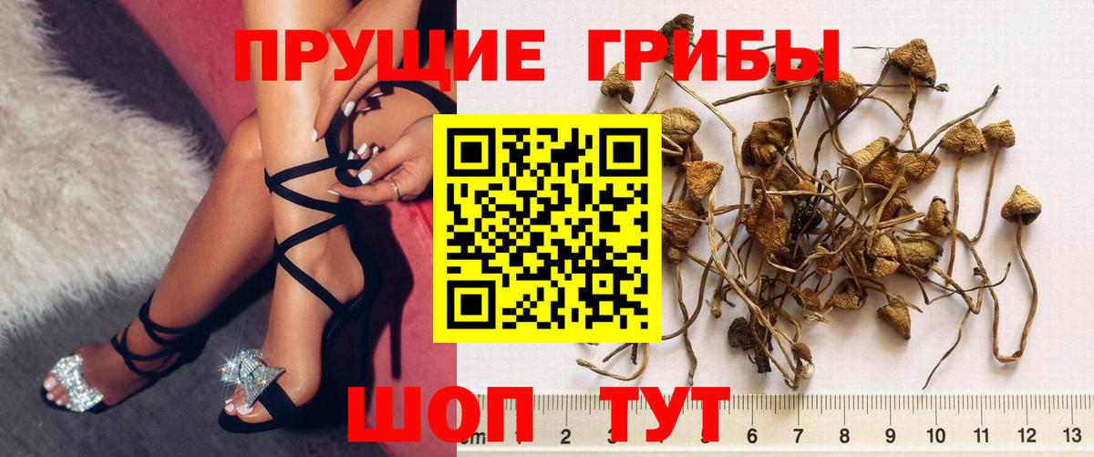 Псилоцибиновые грибы мухоморы Тосно
